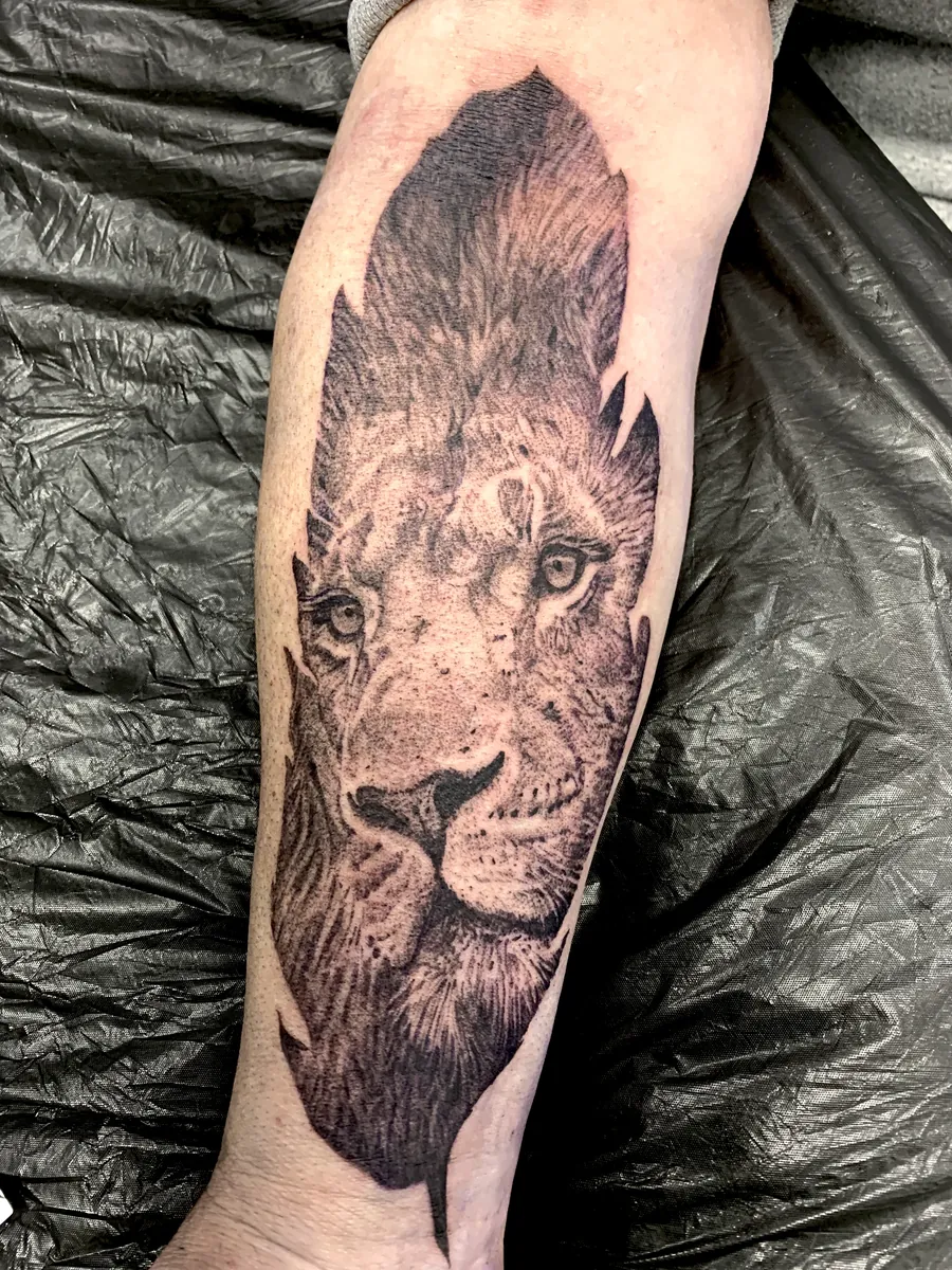 Realistischer Löwe Unterarm Black & Grey Tattoo - Spirit of 666 Oberhausen