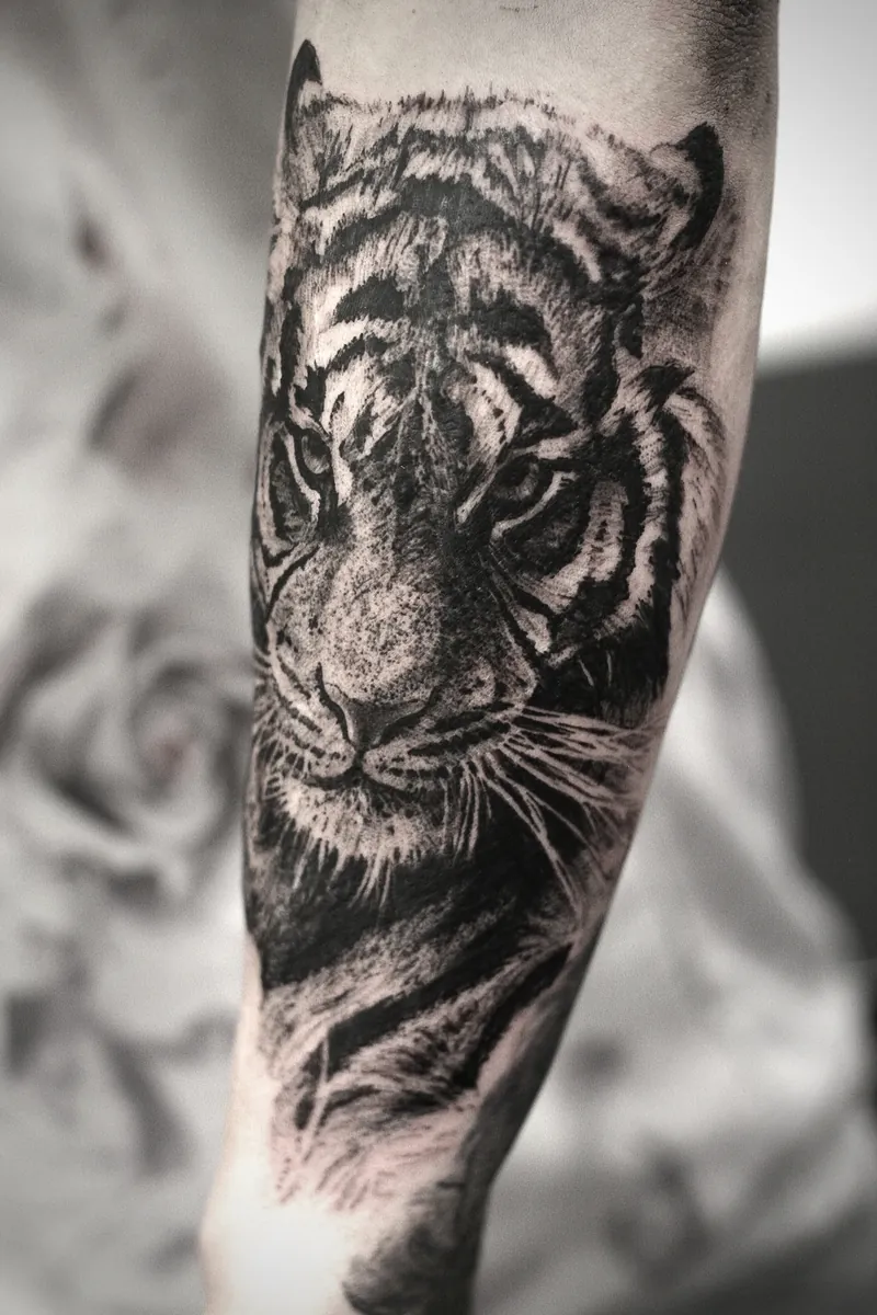 Tiger Unterarm Black & Grey Tattoo - Spirit of 666 Oberhausen