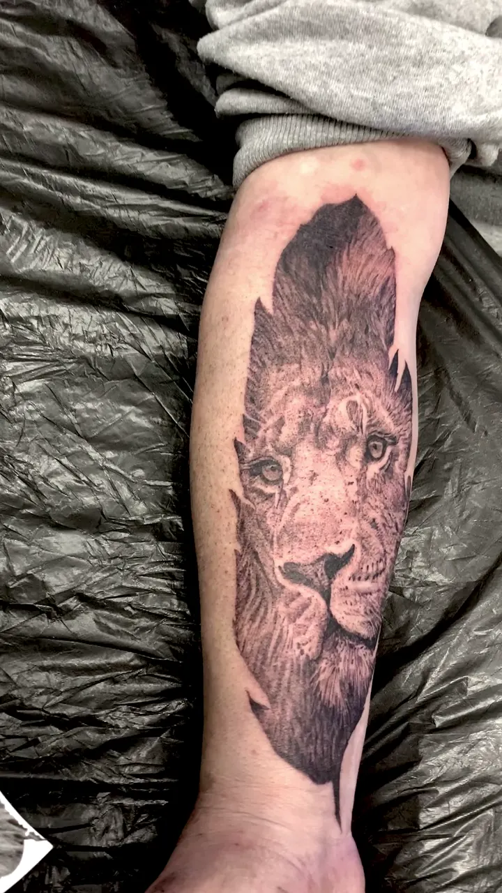 Video: Realistischer Löwe Unterarm Tattoo - Spirit of 666 Oberhausen